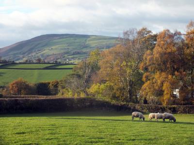 457 AUTUMN AND THE VAN HILL.jpg